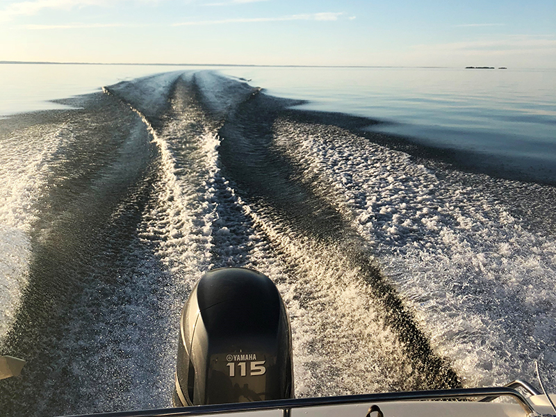 Boat engines
